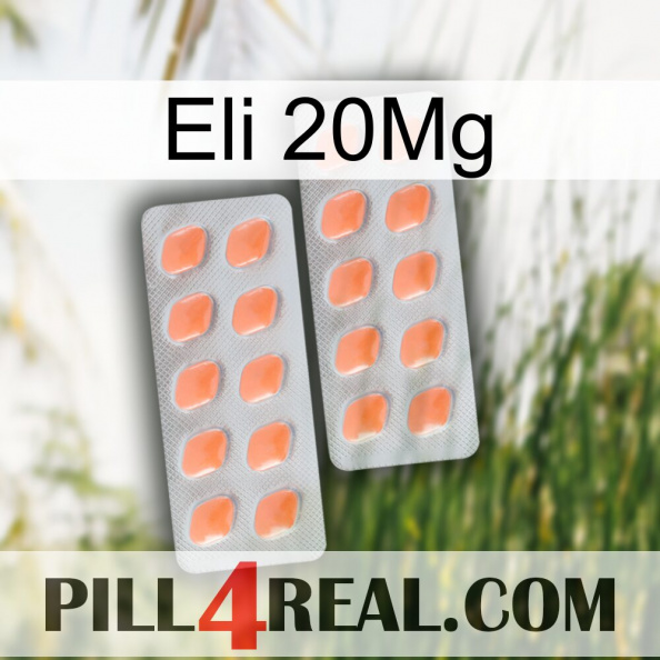 Eli 20Mg 27.jpg